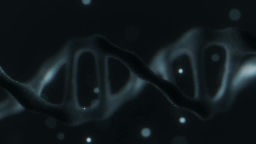 Close up view of a chromosome is displayed