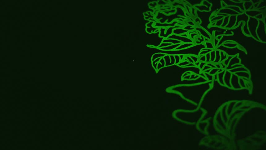A glowing green design of a plant and leaves is moving and floating in the darkness