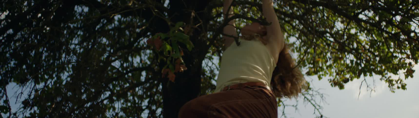 A woman hanging from a tree branch swinging back and forth