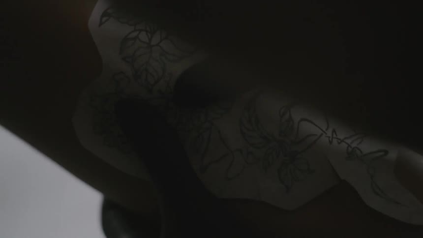 Two hands carefully touching a piece of art the drawing of a plant