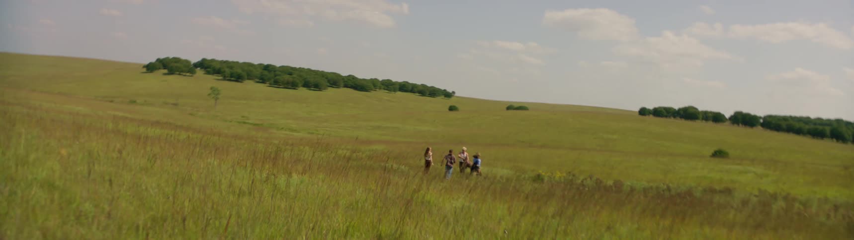 A group of people are walking through a grassland field