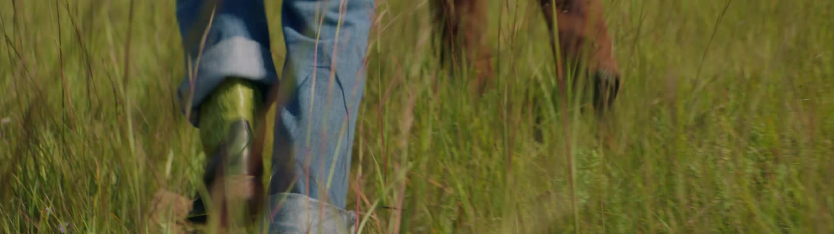 Two people are walking through a grassy field