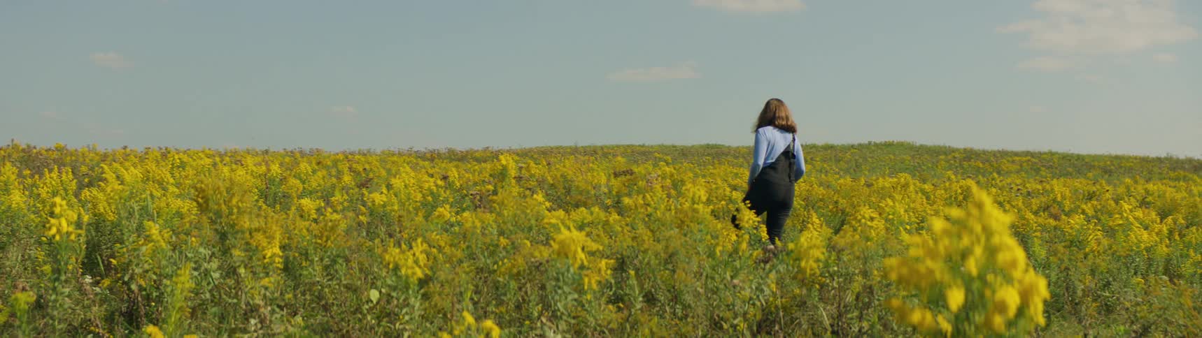 Woman walking through a pasture of yellow wildflowers in the country