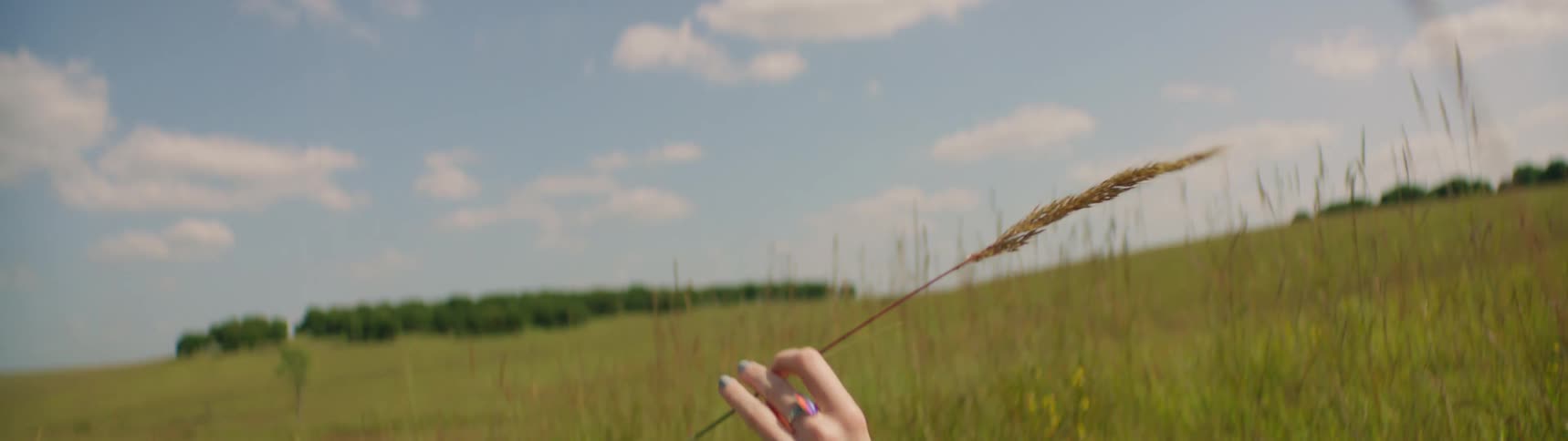 A group of people laying in a grassy field one person with their hand up holding a piece of grass between their fingers