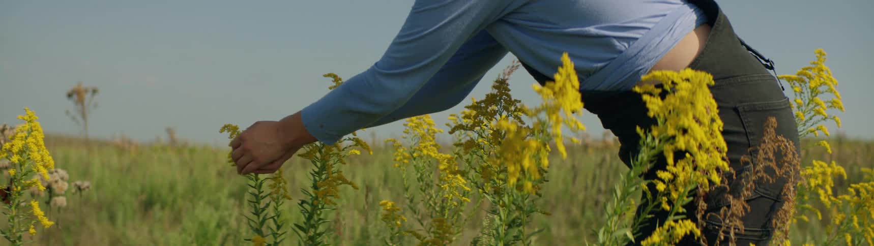 The view is of a woman taking care of flowers in the day time