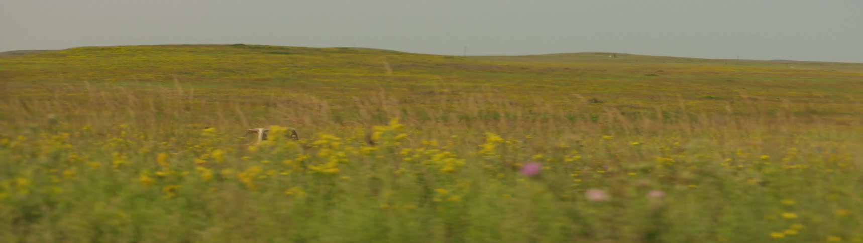 People are driving a truck through a rural area