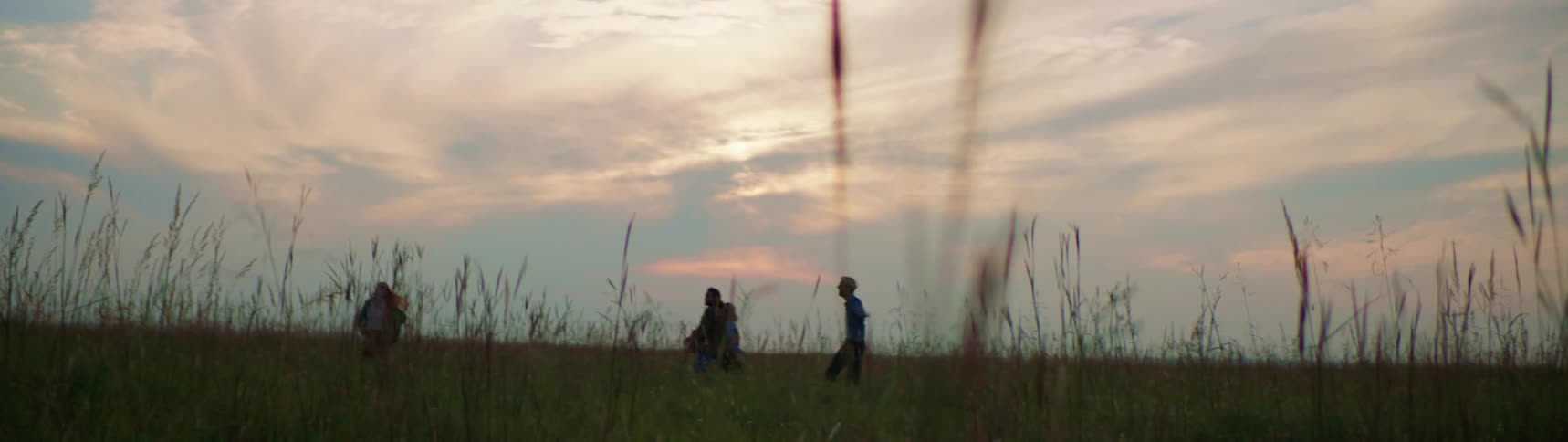 A group of friends are dancing in an open field at dusk