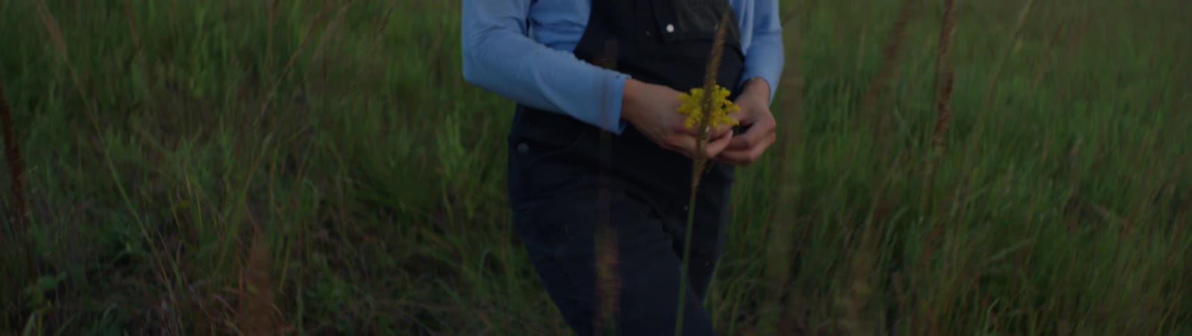 Woman tears flowers from grassland plant and walks across meadow