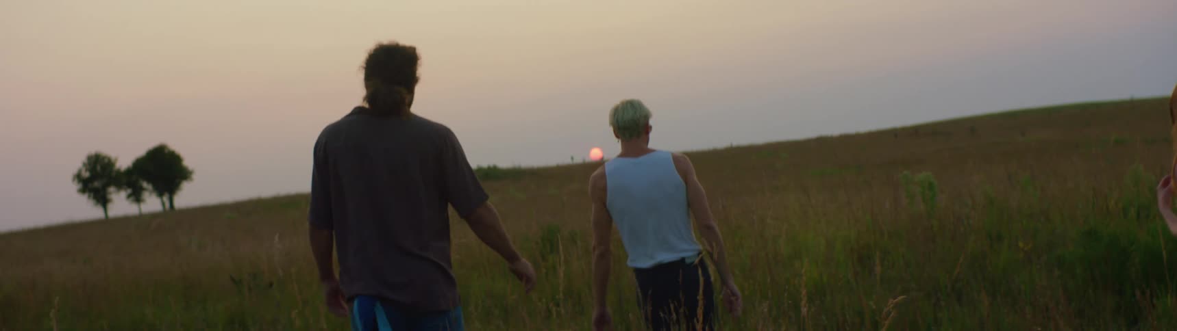 Three friends are walking through a field together at dusk