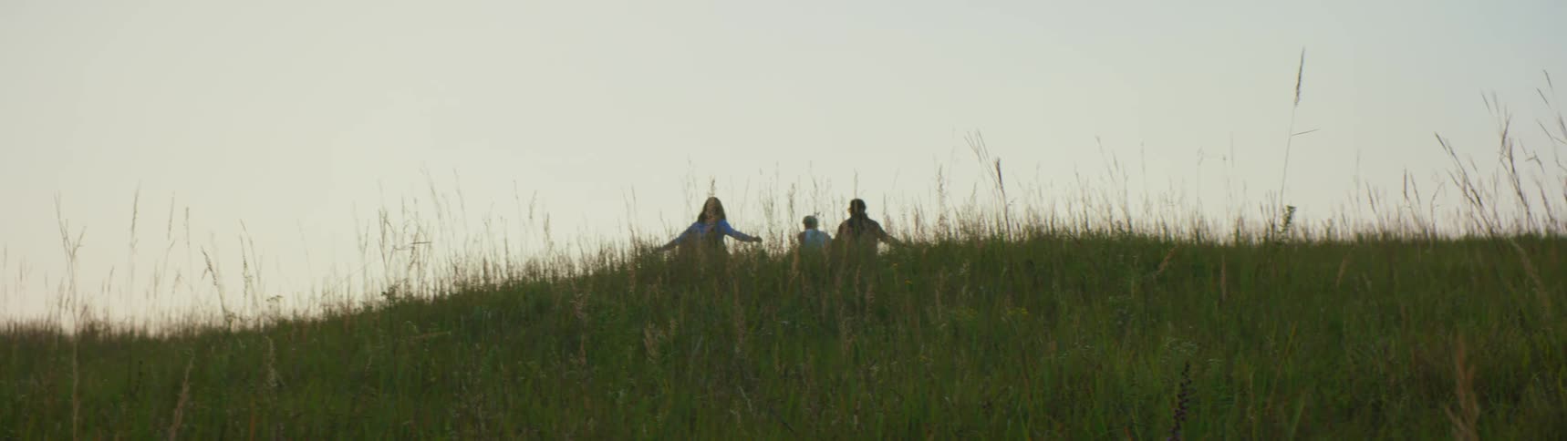 A group of friends are walking through a grassland area