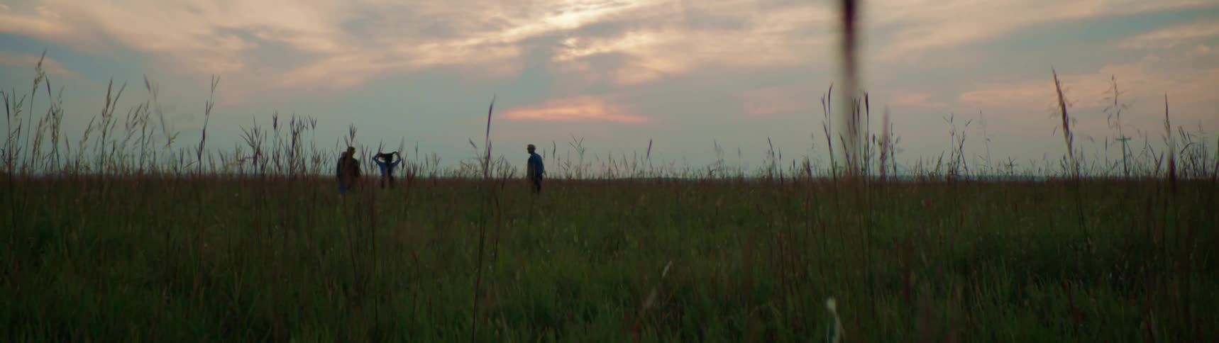 People are walking through a grassland field