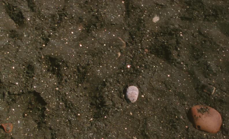 Light is reflecting on the soil