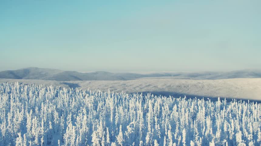 Aerial view of snowy coniferous forest valley and frozen lake