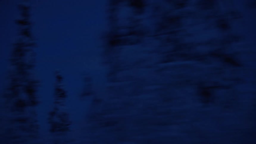 The moon is bright in the clear sky