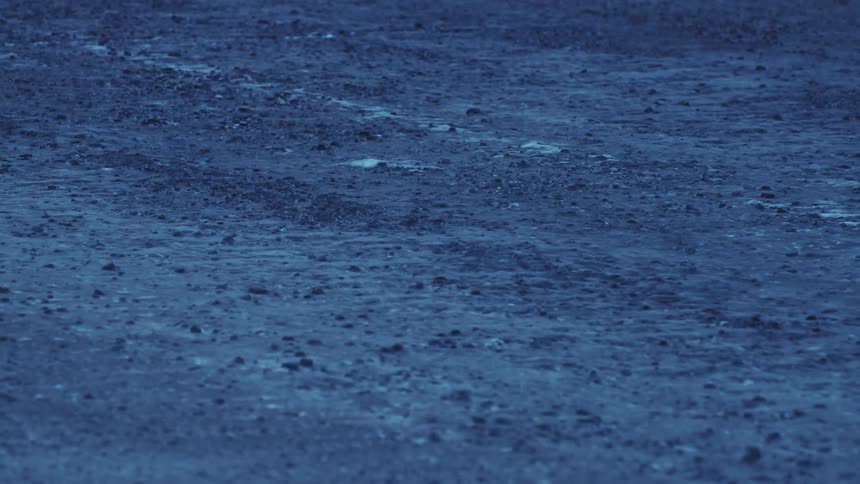 Rocky and dirt covered ground