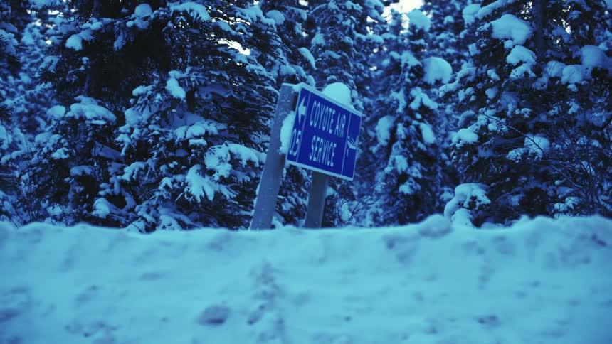 A view of snow along a road in a forest