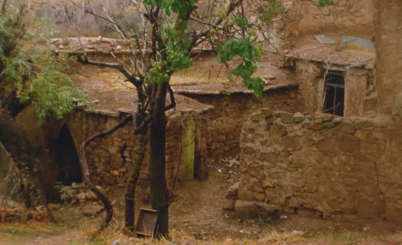 A box is leaning on trees near adobe buildings