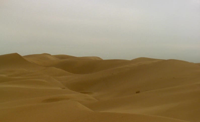 Fog settles over sand dunes in the desert