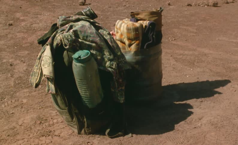 Flies swarm around a bag of hiking equipment on the ground