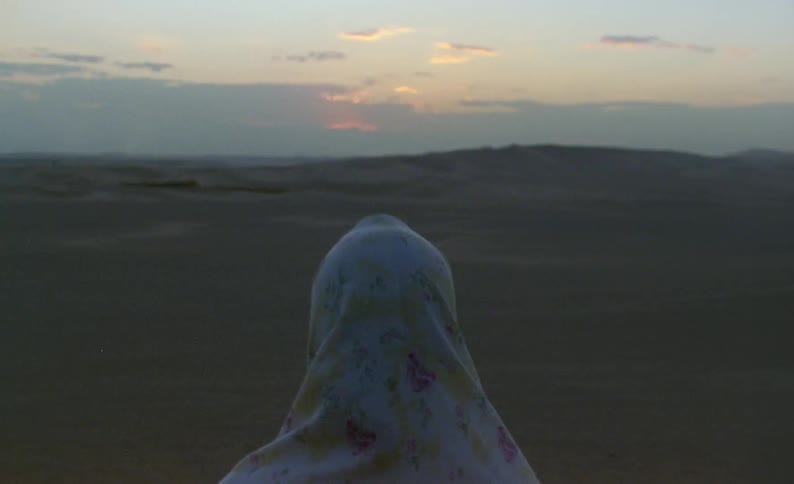 A person is standing in the desert
