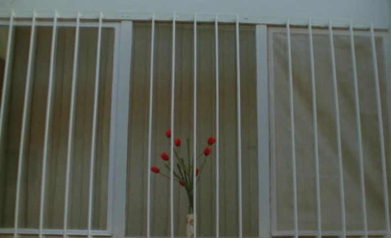 Red tulips sit in vase behind bars in wall
