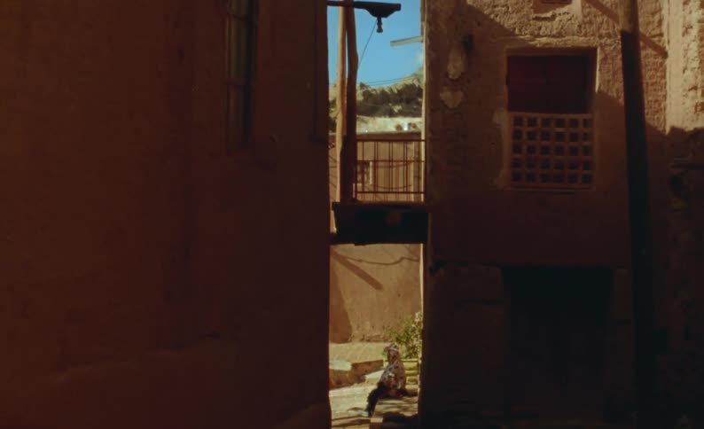 A cat sits on the front porch of a home