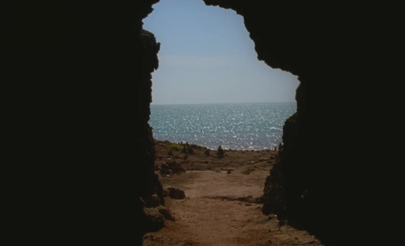 The view is of the nature area and you can see the ocean