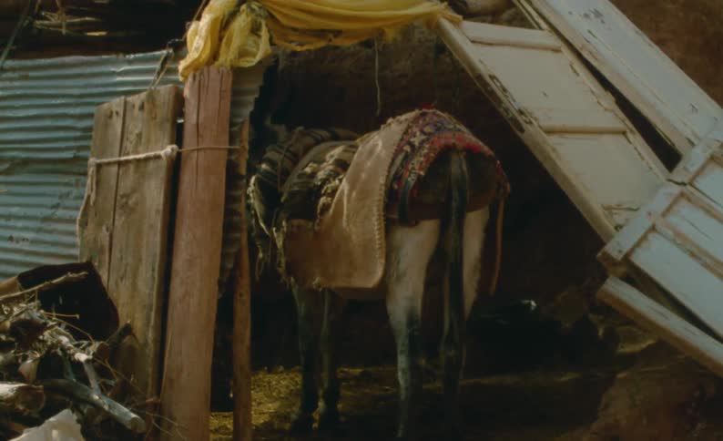 A horse with blankets on its back stands in a sheltered area