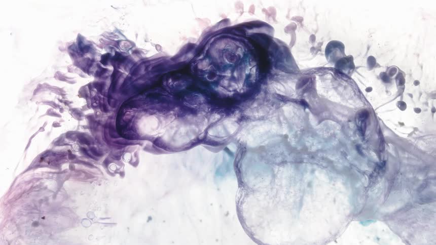 Dark blue dye spreads over purple dye on a pale background