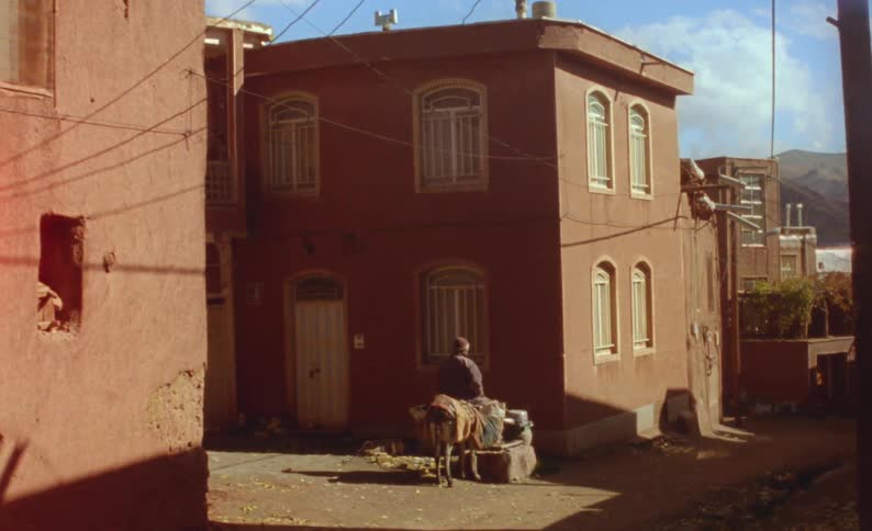 A man sitting on a donkey outdoors