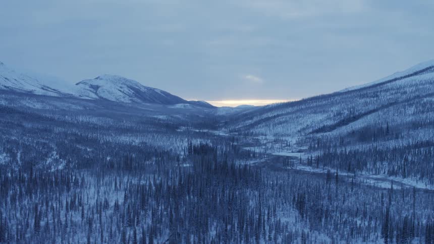 Bare trees stand along a snow covered valley and mountains under a cloudy sky