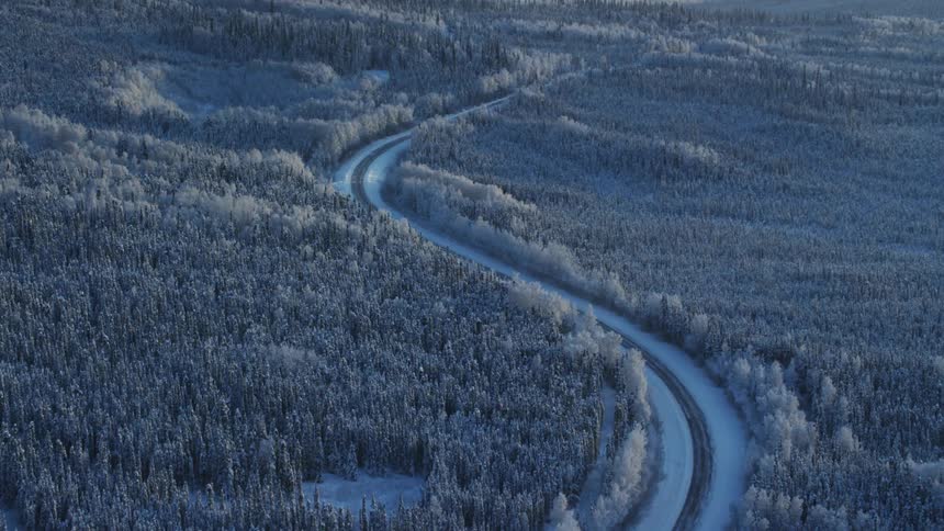 A road through a forest covered in snow