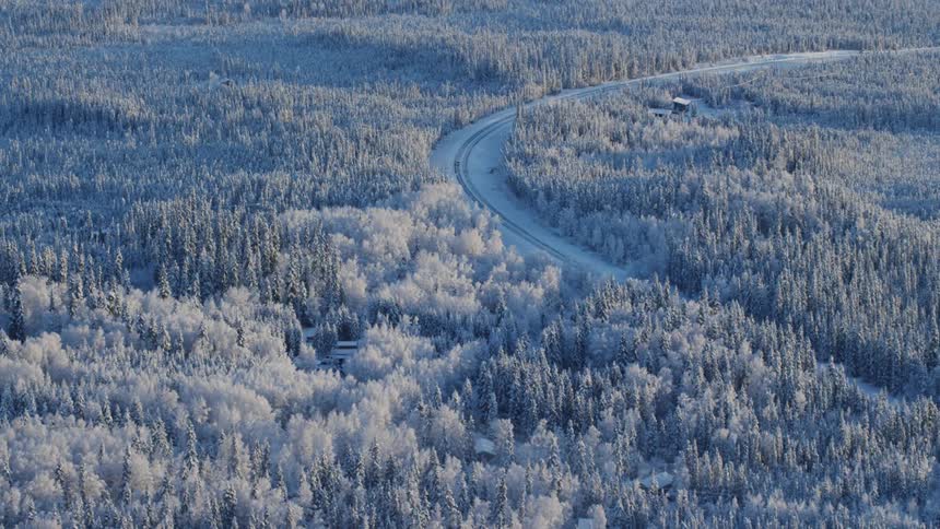 An aerial view of a forest with snow covered trees