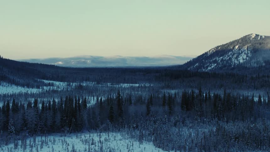 Shot of a forest and mountain