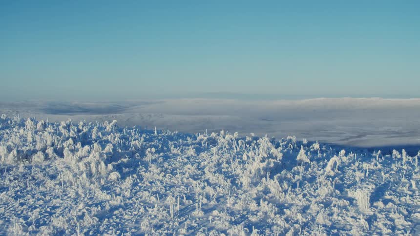Wide shot of a snowy landscape