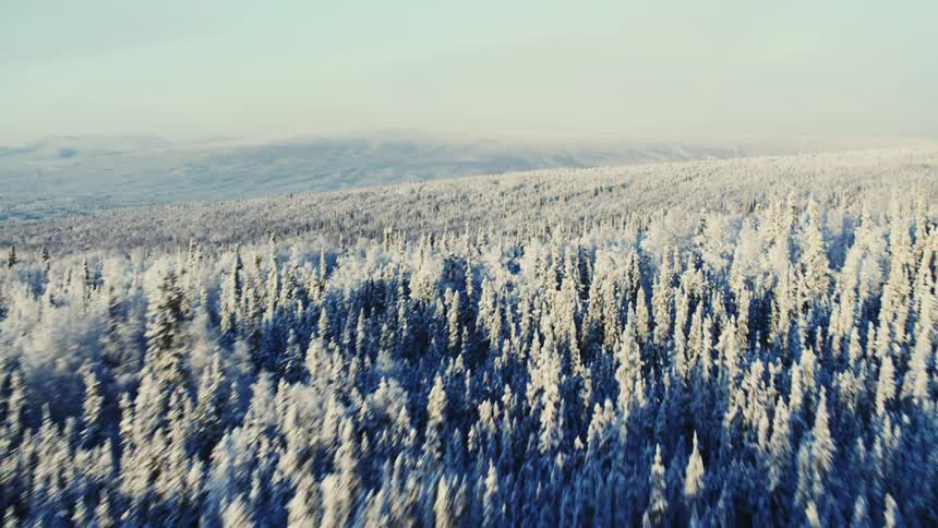 An aerial of a snowy winter forest of trees and hills with a roadway in the valley
