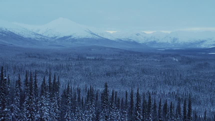 The view is of the nature area in the winter time