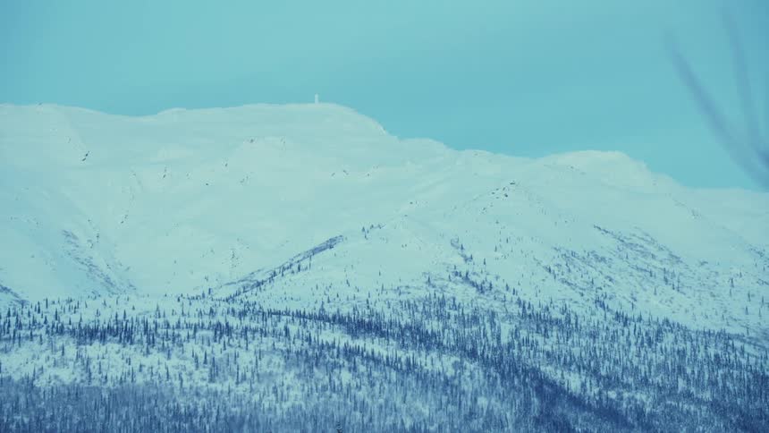 Bare trees fill a snow covered mountain valley under a clear sky on a winter day