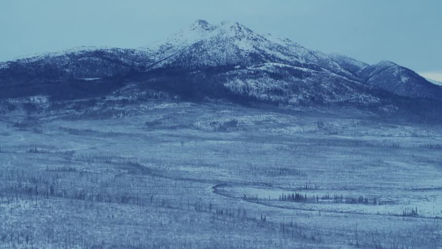 The view is of the nature area in the winter time