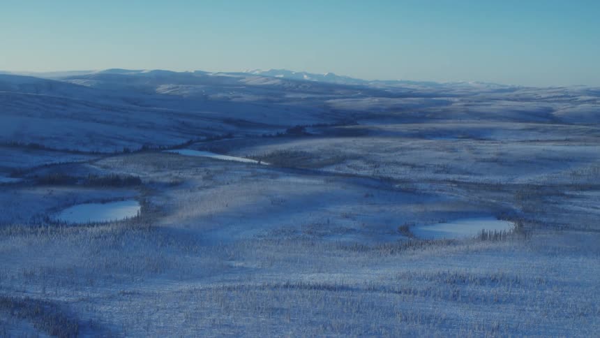An aerial view of a forest covered in snow