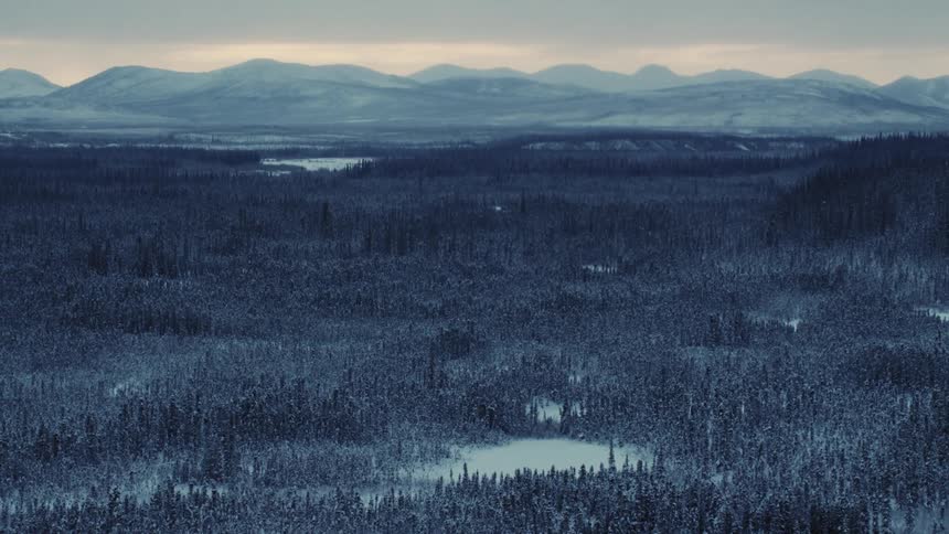 A revealing shot of a snowy forest with mountain ranges in the distance