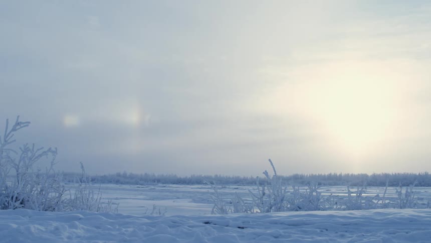 Snow covered grass and landscape with a tree line on the horizon