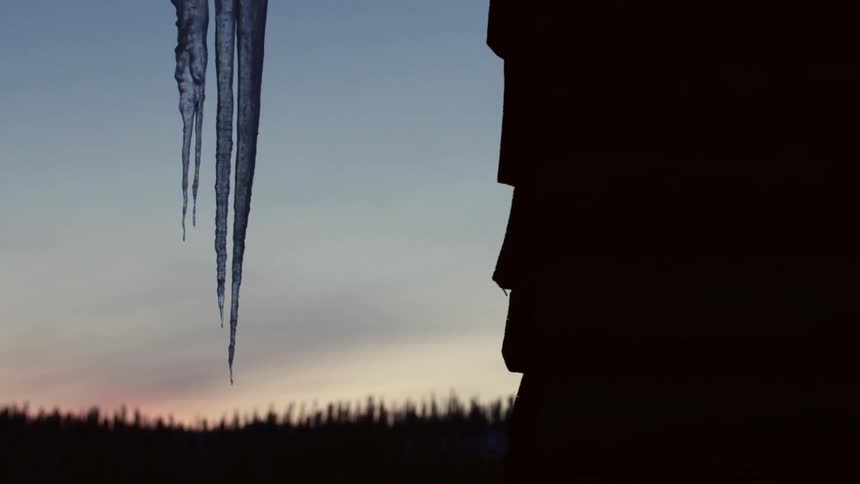 A view of icicles in a forest