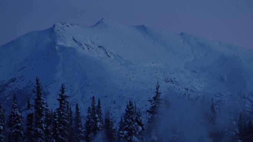 Landscape of snowy mountains and coniferous forest