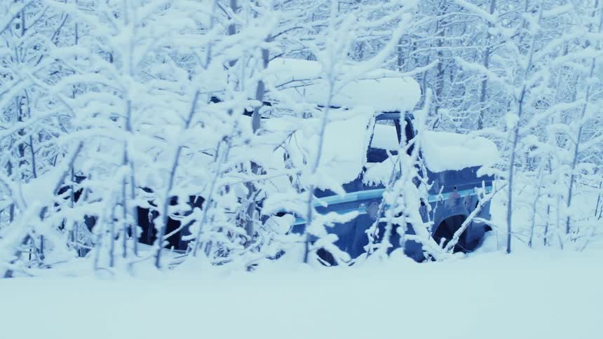 Truck in snow also trees