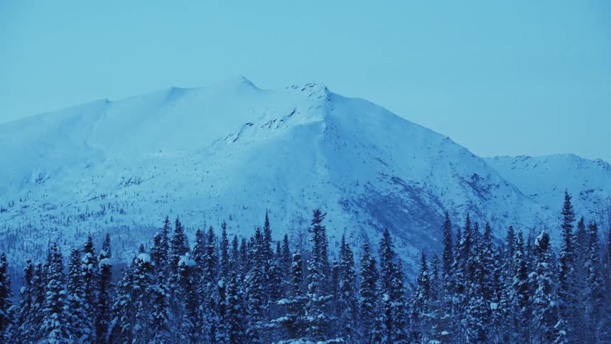Landscape of snowy mountains and coniferous forest