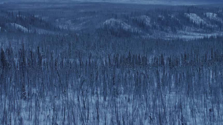 A revealing shot of a snow covered bare forest with snow covered mountains in the distance