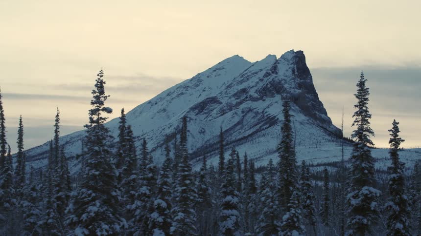 The view is of the nature area in the winter time