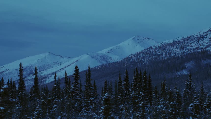 Aerial view of snowy coniferous forest and distant mountain range