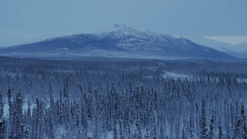 Snow covers barren trees below a mountain range